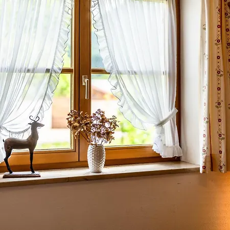 Ferienwohnungen Lara Wohnung 1 Wallgau Extérieur photo